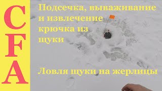 Подсечка, вываживание и извлечение крючка из щуки  Ловля щуки на жерлицы
