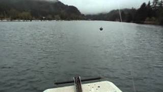 CLUB-MONADIRE.GE ორაგულზე თევზაობა.COHO SALMON, SILETZ,OREGON.