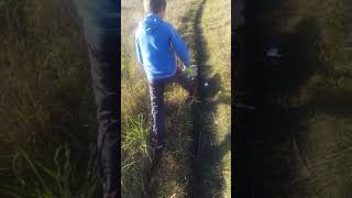 Как правильно выгуливать кошку