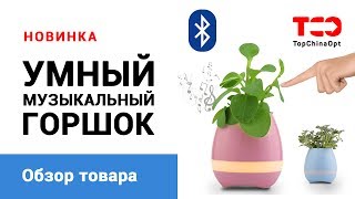 SMART Music Flowerpot. Музыкальный цветочный горшок.
