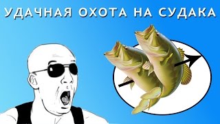 Прозрак подводная охота судак kg club