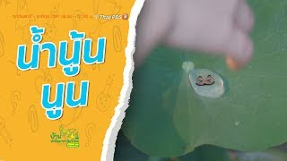 น้ำนู้น นูน : บ้านนักวิทยาศาสตร์น้อย (14 ธ.ค. 62)
