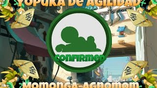 Presentación Yopuka de AGI (+Koliseo)  | DOFUS | Momonga