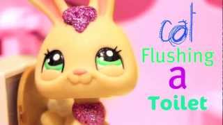Cat flushing a toilet-Parry Gripp Lps version