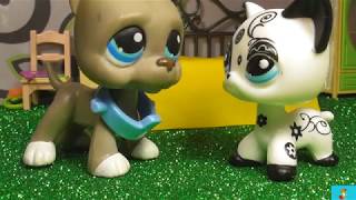 LPS сериал: Стюардесса 15 серия