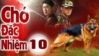 Chó Đặc Nhiệm - Tập 10 | Phim Bộ Hình Sự Trung Quốc Hay Nhất 2018 - Thuyết Minh