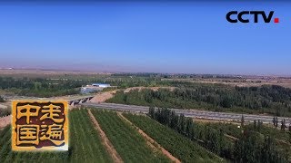《走遍中国》新农技 摘穷帽：新技术的推广利用会给贫困地区带来哪些变化呢？20191011 | CCTV中文国际