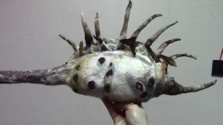 Видеозарисовка с МК. Валяние морской ракушки.