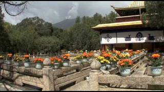 The Norbulingka Park "The Jewelled Park" and Summer Palace  TIBET