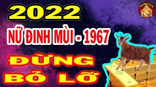 Tử Vi 2022 Tuổi Đinh Mùi 1967 Nữ Mạng Đổi Vận Giàu Có, Tiền Nhét Chật Két Nếu Biết Điều Này