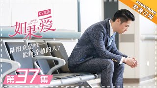 DVD版 |《如果，爱》第37集：嘉玲因乔植病情未参加婚礼 Love Won't Wait EP37【芒果TV独播剧场】