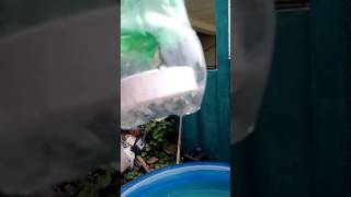 Flutuador pet!