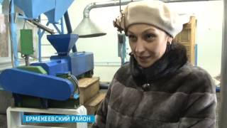 В Ермекеевском районе налажено производство подсолнечного масла и муки