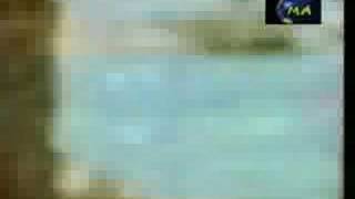 Diana Haddad - Shater