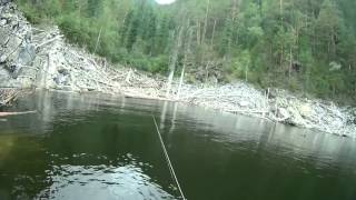 Окуни на ВЕРТУШКУ ОТ PONTOON21 ...очень уловистая блесна
