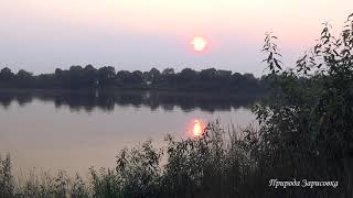 ЗАКАТ НА РЕКЕ ~ Расслабляющие звуки реки - Пение птиц со Звуками природы ~ ДЛЯ ДУШИ