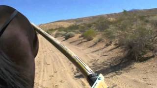 Desert Training Center Jogging Video