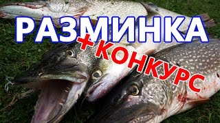 Рыбалка на Оби 2016.  Ловля щуки и судака на джиг и троллинг. Открытие сезона ловли щуки с лодки.