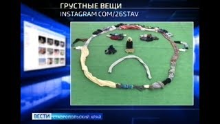 Вести в сети #444: полезный флешмоб, грустные вещи и подъемник для ватрушек
