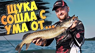 Хитрости ловли щуки и судака на ДЖИГ! Рыбалка на спиннинг летом в жару 2019!