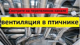 вентиляция в птичнике