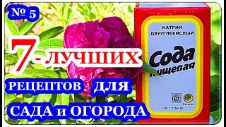 █ 7 ЛУЧШИХ РЕЦЕПТОВ // СОДА для ОГОРОДА и САДА ч.5 // Борьба с ТЛЁЙ и другие предложения.