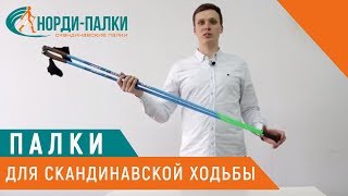 Скандинавские палки для ходьбы KV+PRESTIGE 100 CARBON.