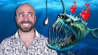 10 WEIRDEST Animal Mating Rituals!