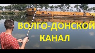 Волго-Донской канал.Рыбалка в жару.Карась подлещик.