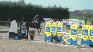 Alina Van 't Merelsnest Z (Arko III)