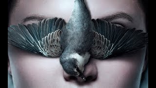 Премьеры 23 Ноября 2017