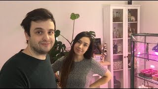 Домашний парник для рассады |  Ветчина своими руками