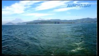 Авачинская бухта, Камчатский край