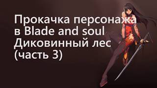 Прокачка персонажа в Blade and soul (Диковинный лес часть3)