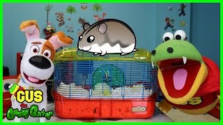 Kids Learn How to Take Care of Pet Dog and Hamster with Gus the Gummy Gator !