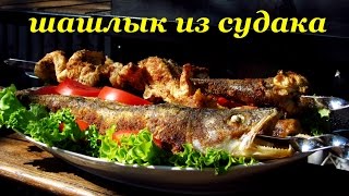 Рецепт шашлыка из судака от Алкофана