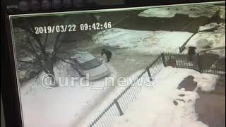 Видео не для слабонервных