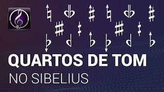 Como inserir quartos de tom no Sibelius? // TUTORIAL DE SIBELIUS