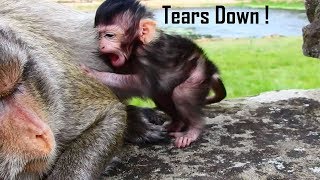 WORRY BABY CRYING, Cute Lizza Requests Mom Lizzy Walking Behind/Lizzy Worry Baby