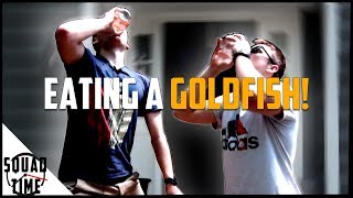 Swallowing living Goldfish (Gross!)