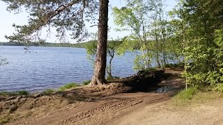 Озеро Большое (Всеволожский район, Ленинградская область)