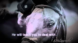 Horse & Rider : The Perfect Horse