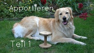 ► Apportieren Teil 1