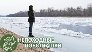 Влог ❄ Непоход на Северский Донец ❄ Рассказываю истории и передаю приветы
