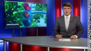 31.07.2017 «Зеленые стрелки» вернут на севастопольские перекрестки