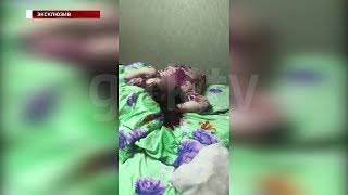 Застал брата с женой: «Вести» публикуют видео с места двойного убийства в Уфе