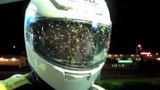 Arctic Adventure 1: Bug Blind