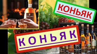 Коньяк, в чём польза коньяка. Коньяк как вспомогательный продукт