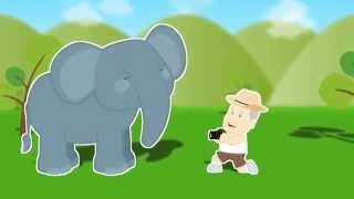 Elephant Nature Park safety talk