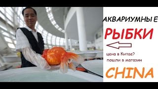 Аквариумные рыбки в Китае